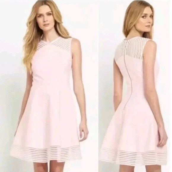 Ted Baker Dresses & Skirts - Ted Baker London Eleese Mesh Detail Skater Dress Light Pink – Size 1 (US 4)